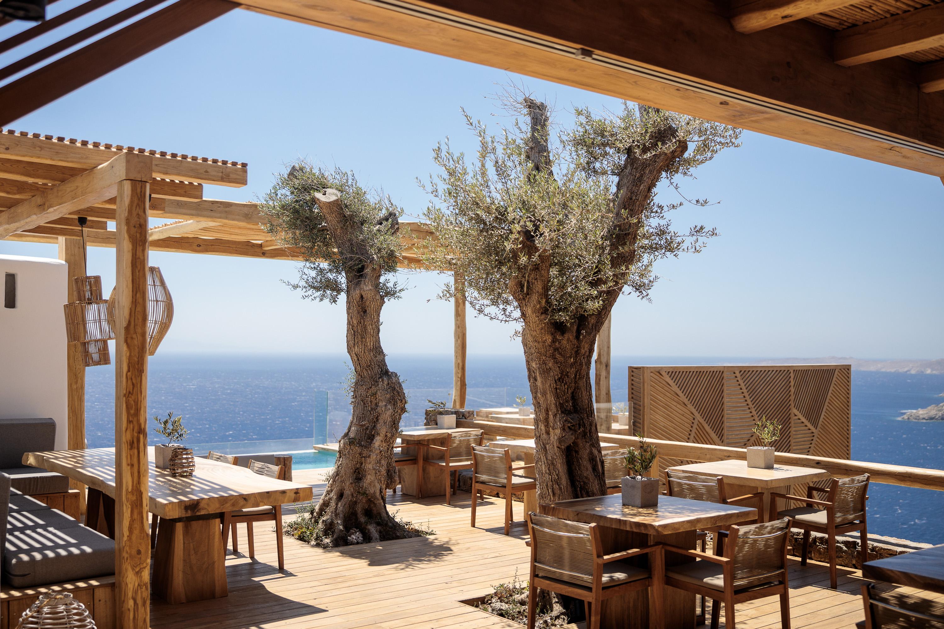 Alissachni Mykonos (adults Only) Hotel 5*